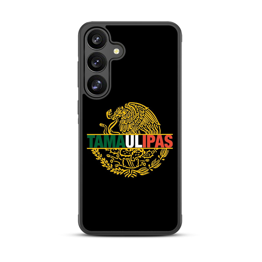 MyBat Design Lab Series Case for Samsung Galaxy S25 Plus - Tamaulipas - MSS25PCSLESM053-3.jpg