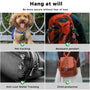 RATCASK202-5.jpg