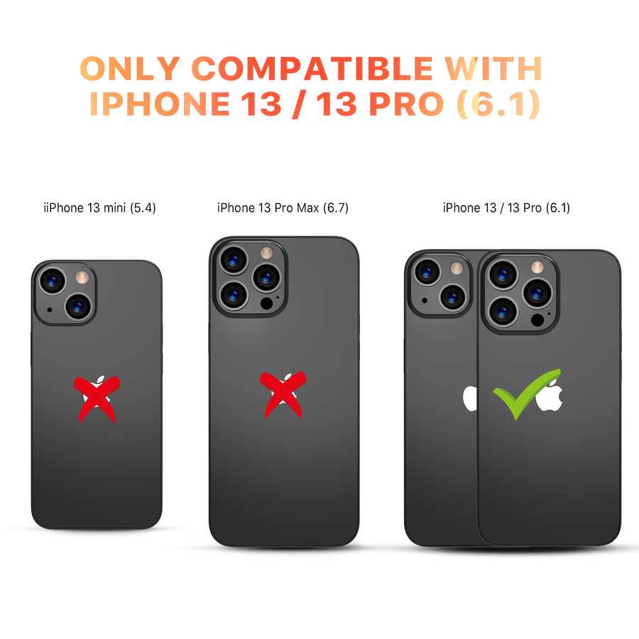 RIP13PSC81-3.jpg
